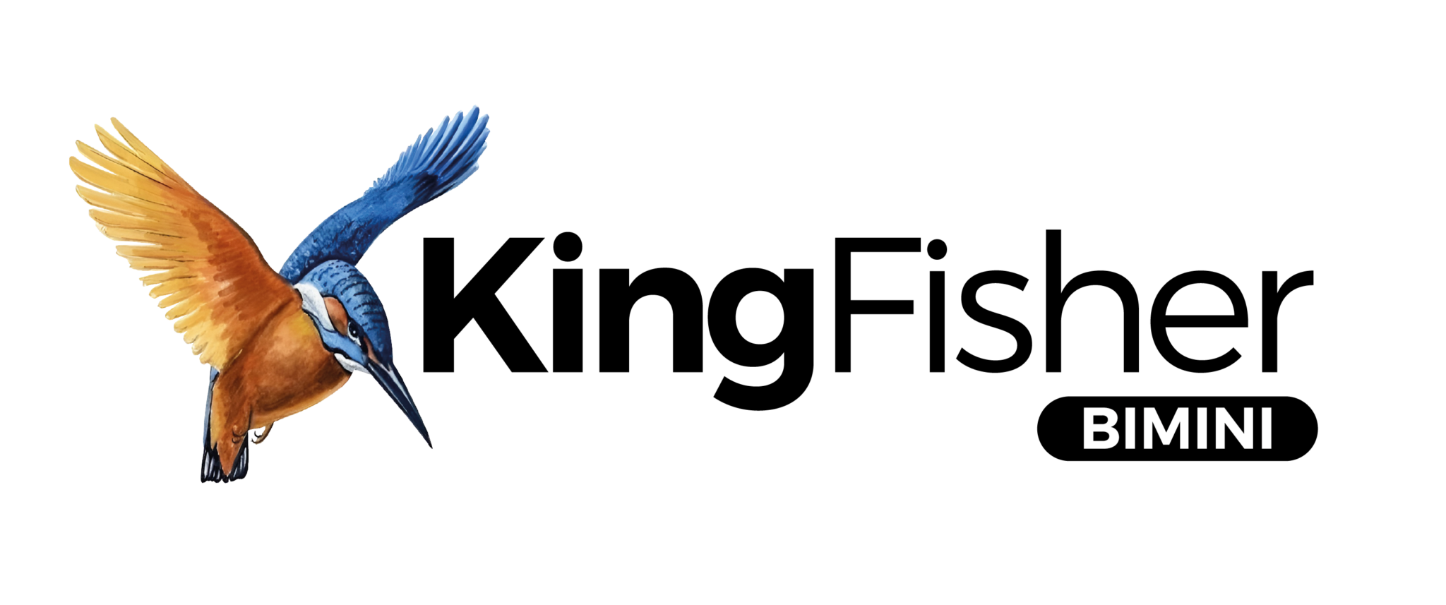 KingFisher_logo-2048x857